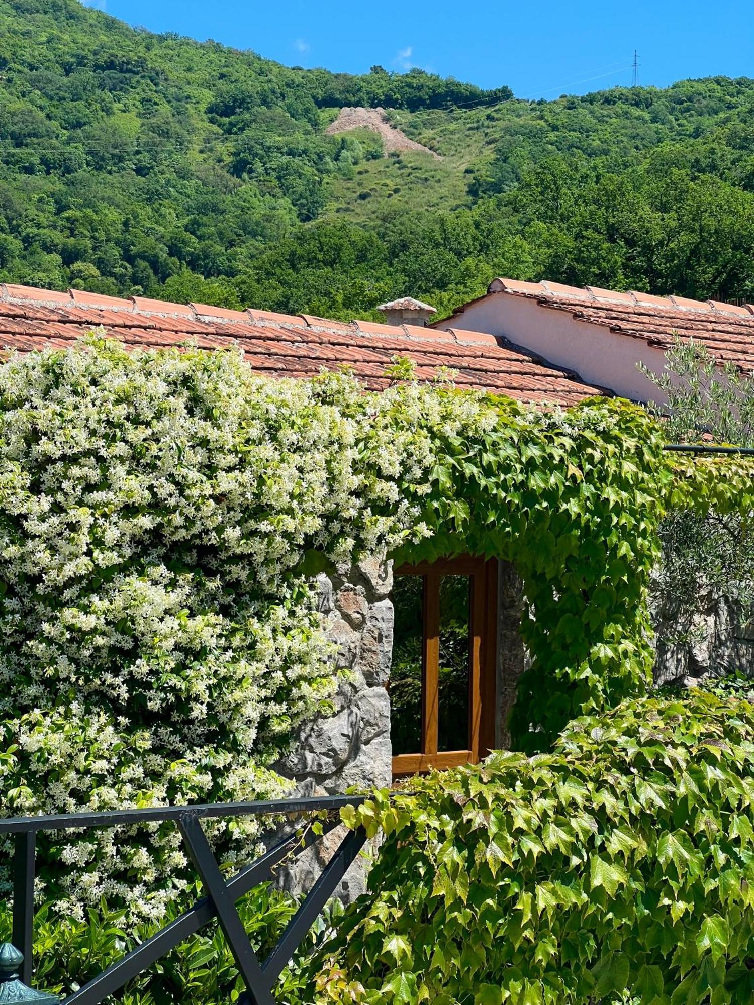 Hotel Opera Jaz Budva Buitenkant foto